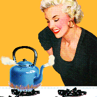 How the Fossil Fuel Industry Convinced Americans to Love Gas Stoves
